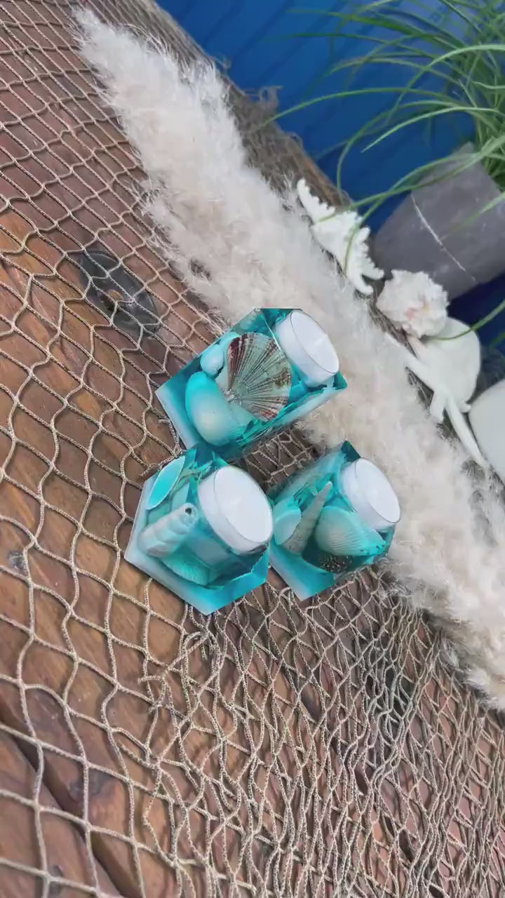 Sea Shell Tea light Candle Holders, set of 3